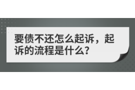 阿城为什么选择专业追讨公司来处理您的债务纠纷？